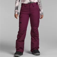The North Face Women's Freedom Insulated Pants at Northern Ski Works