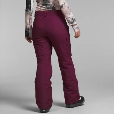The North Face Women's Freedom Insulated Pants at Northern Ski Works 4