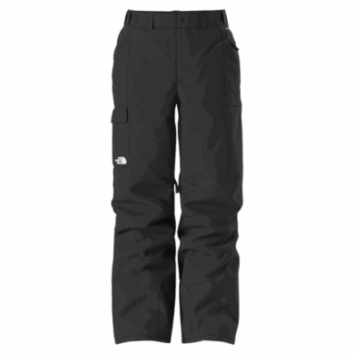 The North Face Men's Freedom Pant at Northern Ski Works