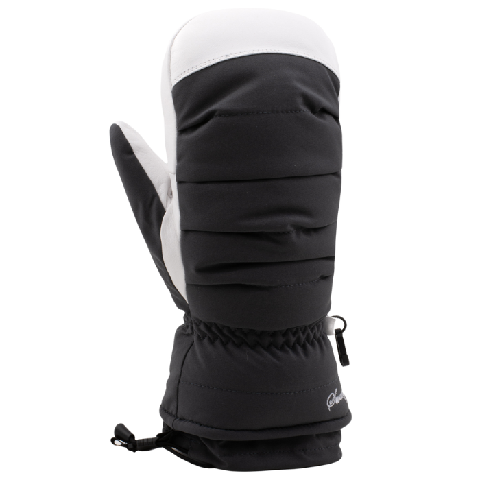 Swany Women's LaDown Mitt at Northern Ski Works